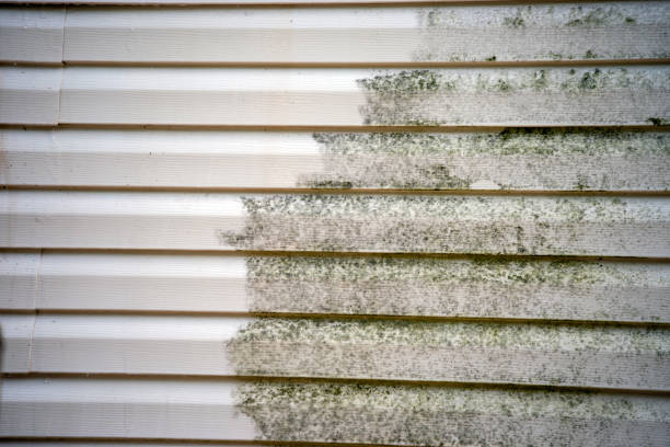  Navy, VA Siding Installation Pros