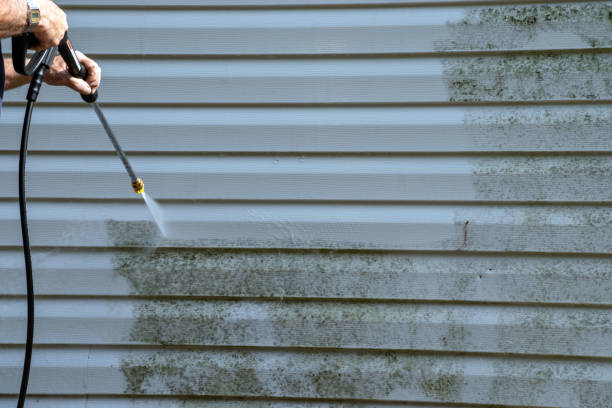 Best Custom Siding Design  in Navy, VA